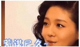 吴佳尼爆料娱乐圈事件是真的吗,吴佳尼爆料真相揭秘？