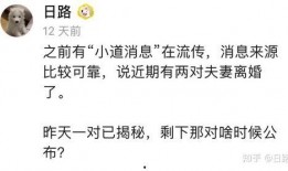 421页圈内人爆料,421页内部爆料背后的惊人真相